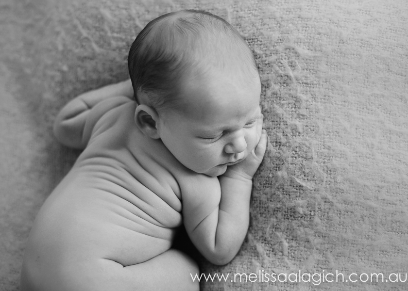 Melissa Alagich Photography, Adelaide Newborn Photographer - Cherub