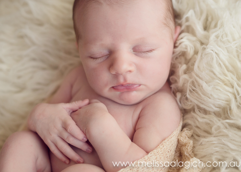 Melissa Alagich Photography, Adelaide Newborn Photographer - Cherub
