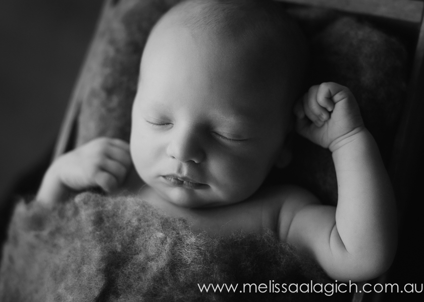 Melissa Alagich Photography, Adelaide Newborn Baby Photographer - baby boy