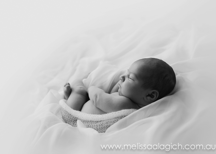 Melissa Alagich Photography, Newborn baby photographer - Newborns