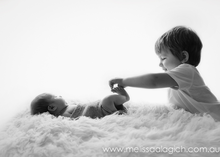 Melissa Alagich Photography, Adelaide newborn photographer - treasured