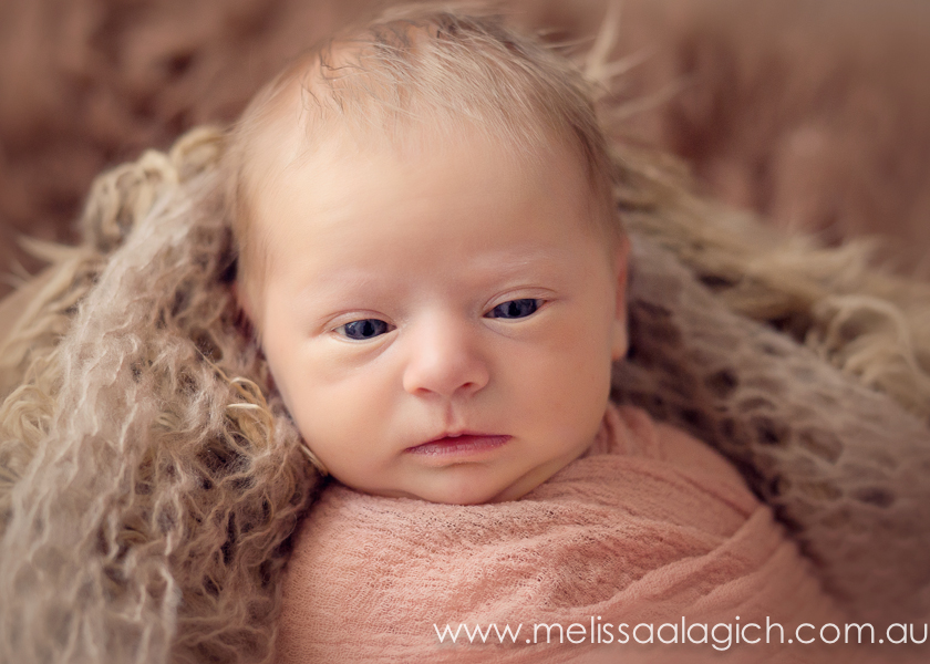 Melissa Alagich Photography, Adelaide Newborn Photographer - Baby girls