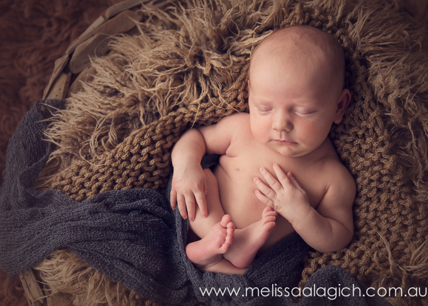 Melissa Alagich Photography, Adelaide newborn and family photographer - Work of Art