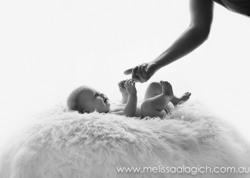 Melissa Alagich Photography, Adelaide baby photographer - sitter session