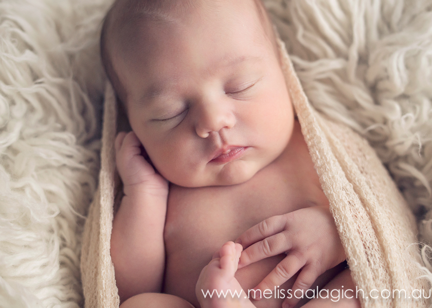 Melissa Alagich Photography, Adelaide Newborn baby photographer - Angel