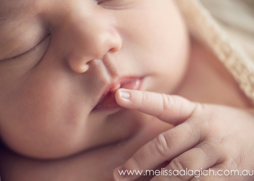 Melissa Alagich Photography, Adelaide Newborn baby photographer - Angel
