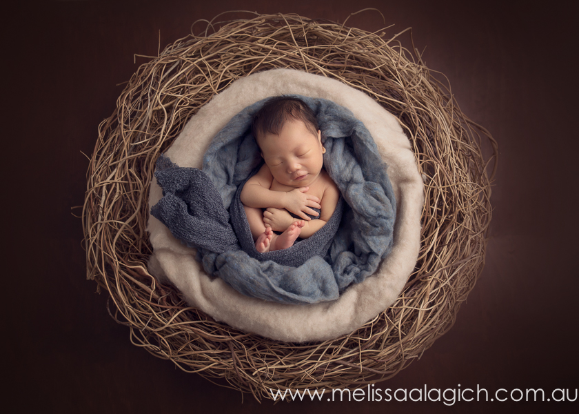 Melissa Alagich Photography, Adelaide Newborn baby photographer - welcome