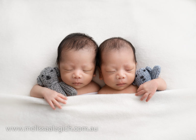 cute twin baby boys with teddy