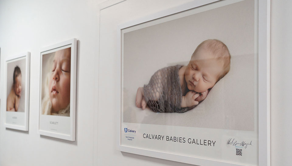 wall gallery website Calvary Maternity services North Adelaide hospital. Calvary babies wall gallery with Melissa Alagich