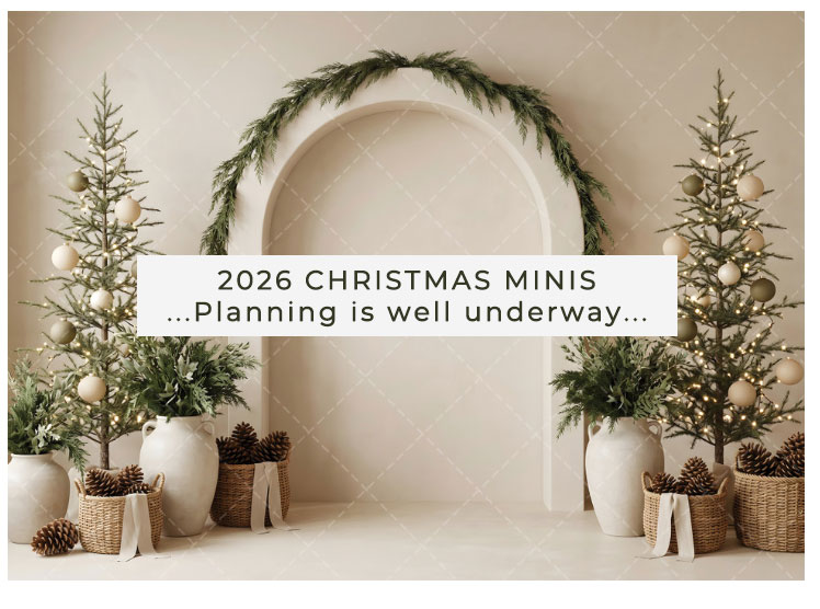 christmas xmas minis 2026 Adelaide teaser photo of backdrop natural tones